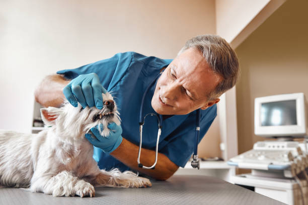 Best Emergency Root Canal Treatment in Fort Mckinley, OH